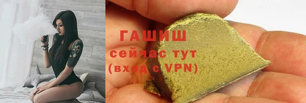 стаф Верея