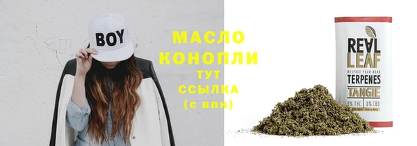 стаф Верея