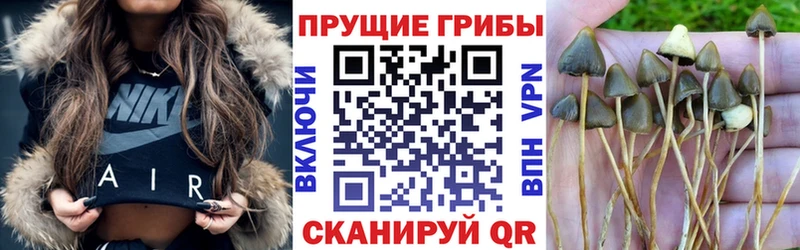 Галлюциногенные грибы MAGIC MUSHROOMS  Партизанск 